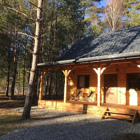 Forest Inn Trzepieciny Exteriér fotografie